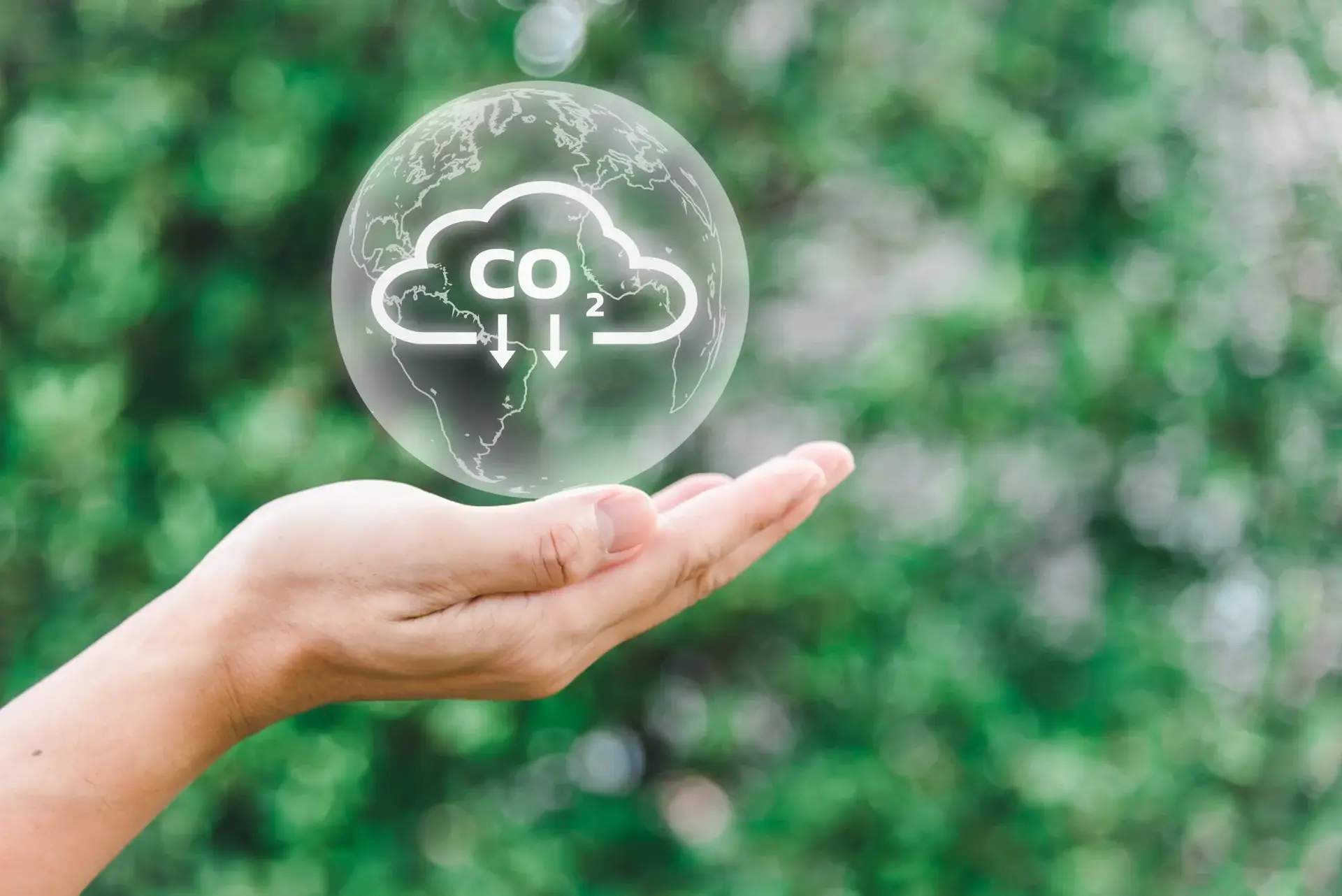 Biomass Energy: Clean Energy for the Modern Industry