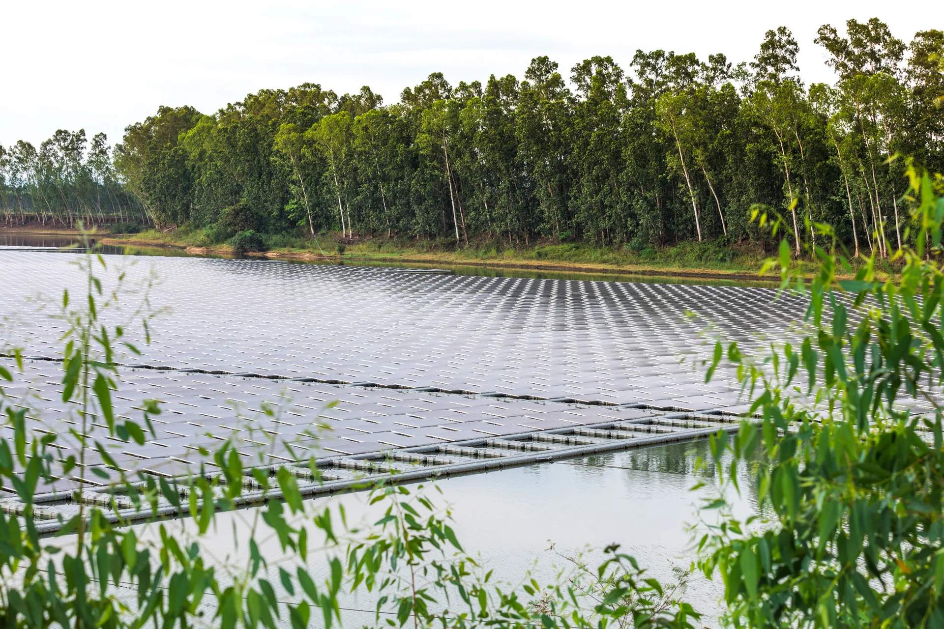 Hybrid Solar-Biomass Energy: Biomass Power
