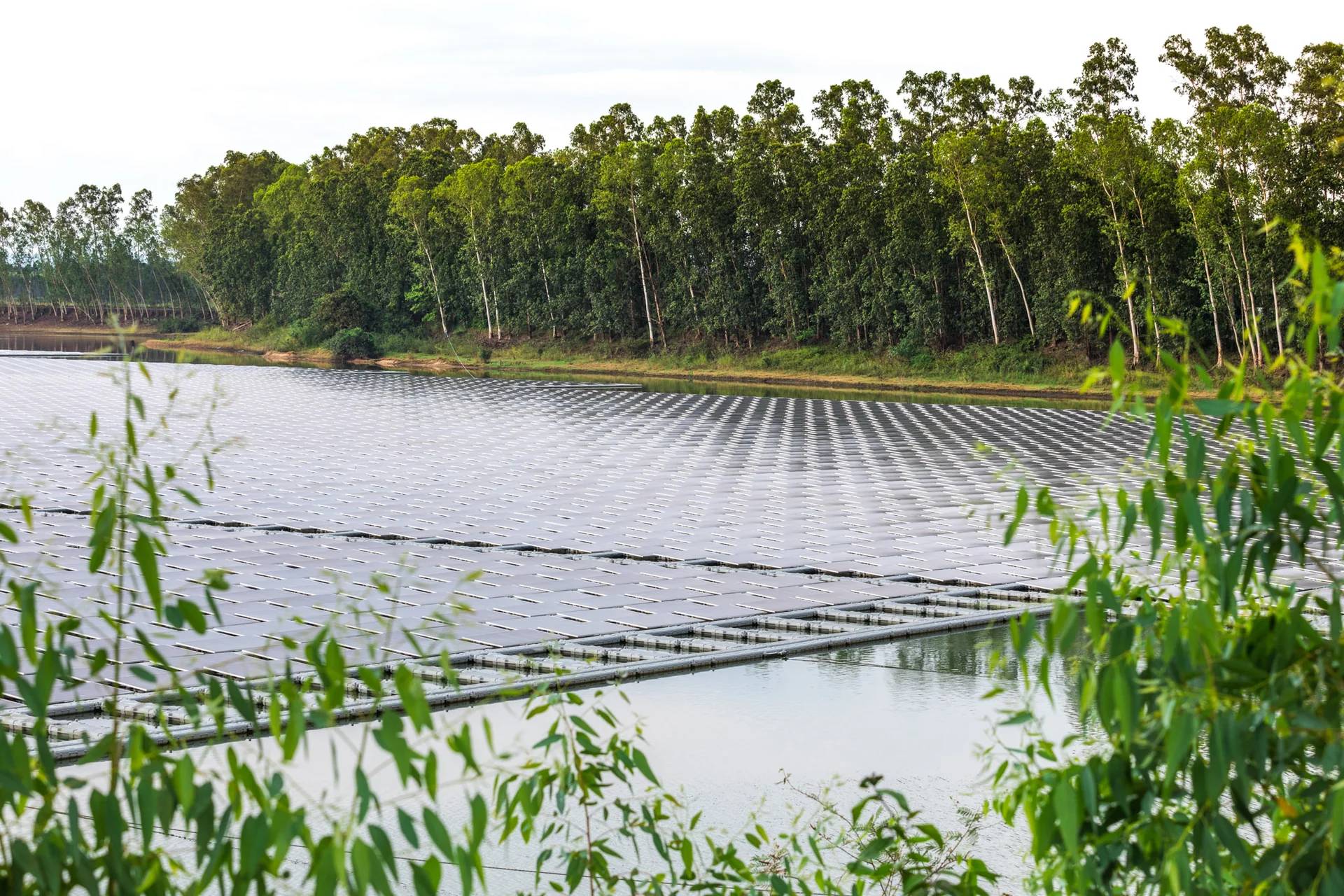 Hybrid Solar-Biomass Energy: Biomass Power